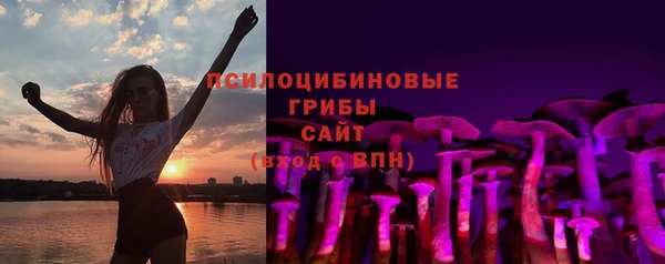 экстази Алексин