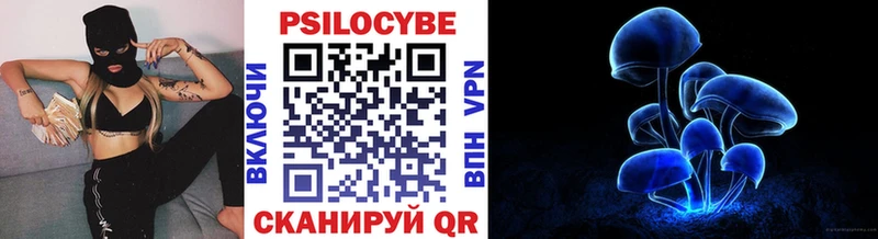 Галлюциногенные грибы Psilocybine cubensis  купить наркотик  Котлас 
